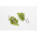 Bunch Earrings Silver 925 Sterling Dangle Drop Women's Green Peridot Stone A963